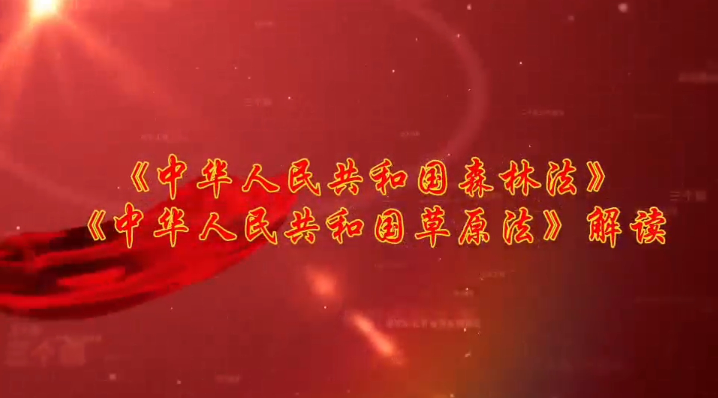 《中华人民共和国森林法》《中华人...