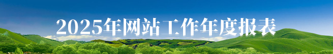 2025年网站工作年度报表