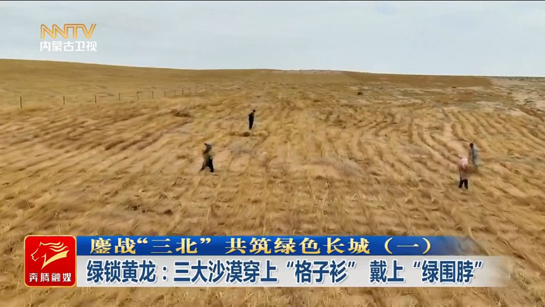 鏖战“三北” 共筑绿色长城（一）|...