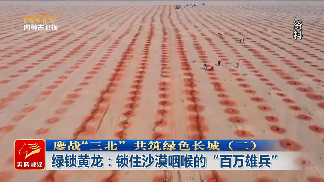 鏖战“三北” 共筑绿色长城（二） ...