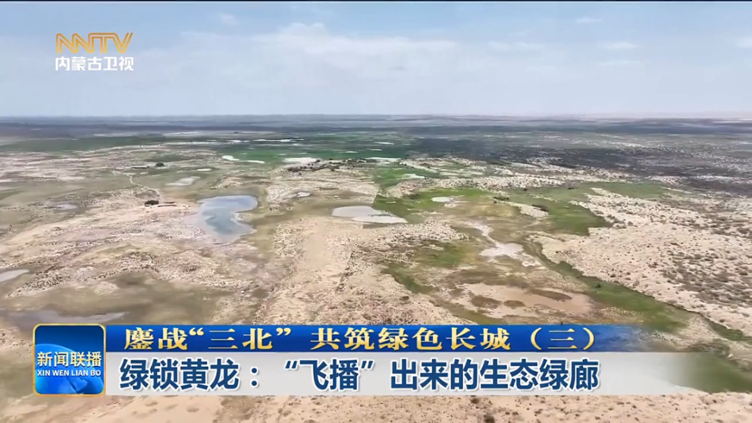 鏖战“三北” 共筑绿色长城（三）|...