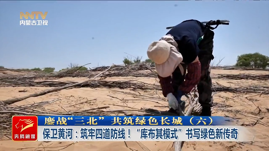 鏖战“三北” 共筑绿色长城（六）|...